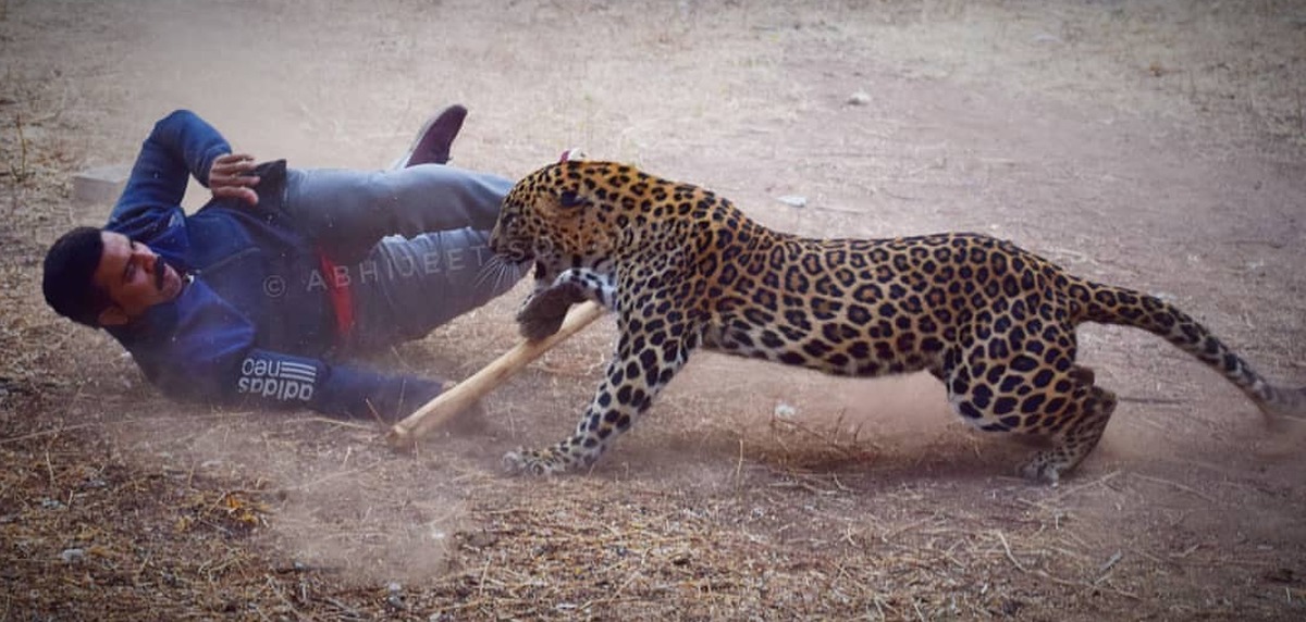 Про животных нападение. Ягуар нападает на человека. Ягуары нападают на людей.