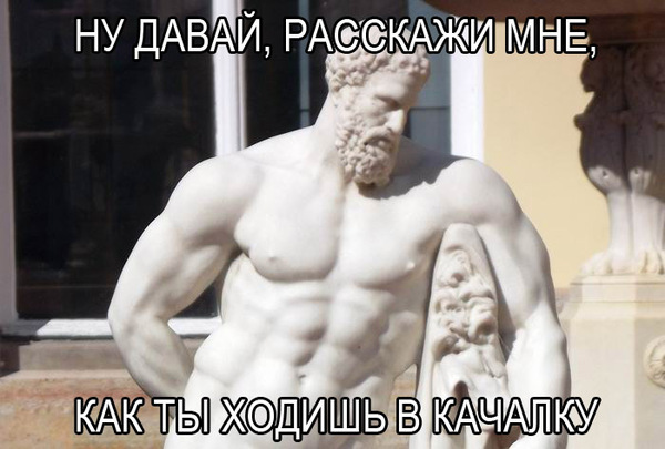 Мужчина задушил напавшую на него пуму голыми руками - Пума, Однажды в Колорадо, Видео