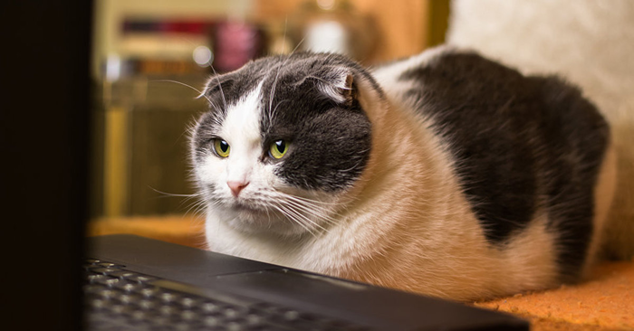 ��������������� ������������