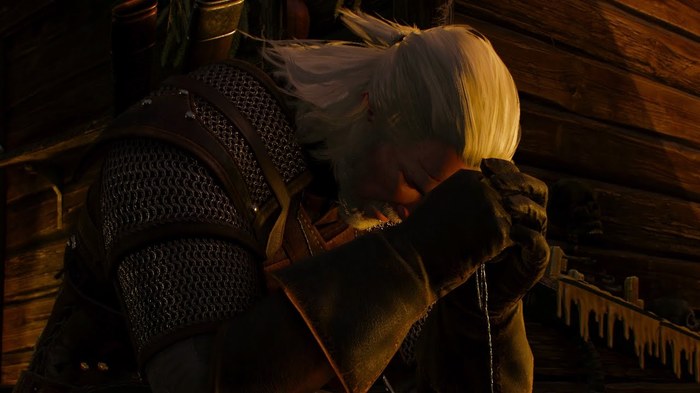 The Witcher 3. Should Ciri die? - My, Witcher, The Witcher 3: Wild Hunt, The Witcher 3: Wild Hunt, Ciri, Text