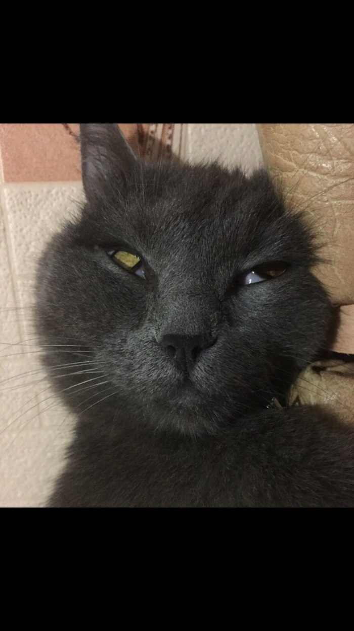 ���� ����� �� �����