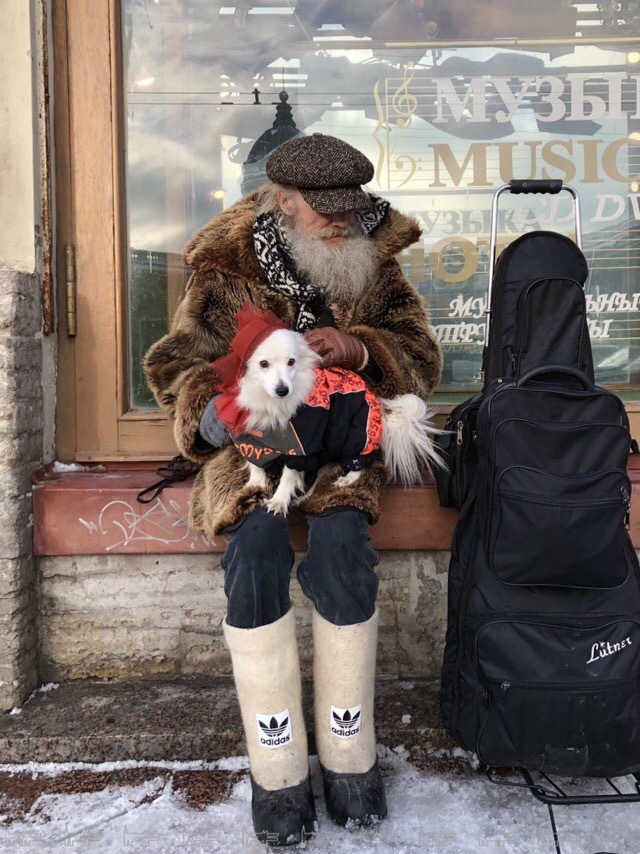 In St. Petersburg, a fashionable grandfather with a dog was seen at the Singer House. - Saint Petersburg, Singer House, Grandfather, Dog