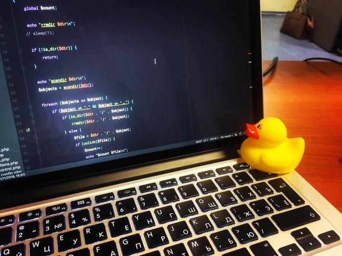 Programming errors and the duckling method. - Programming, Error, , Hexlet, Javascript, Video, Longpost