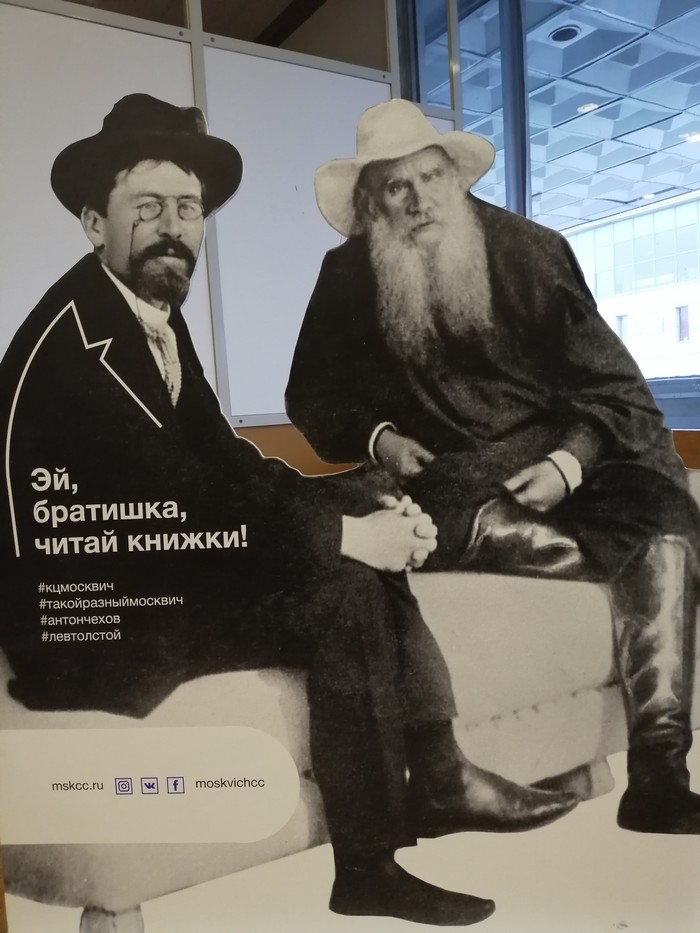 Hey bro, read books! - Oddities, Chekhov, Lev Tolstoy, Books, Anton Chekhov