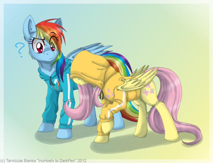 Usage of Hood My Little Pony, Rainbow Dash, Fluttershy, , Inuhoshi-to-darkpen