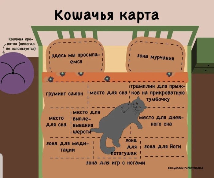 Карта кровати по версии кота