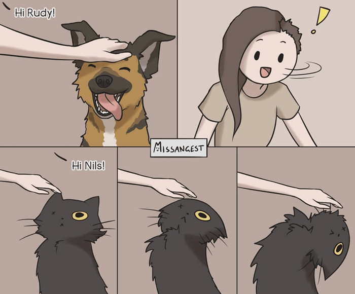 Как кот и пёс реагируют на приветствие