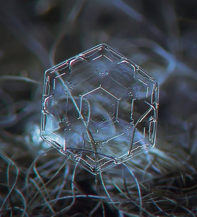    , , , 