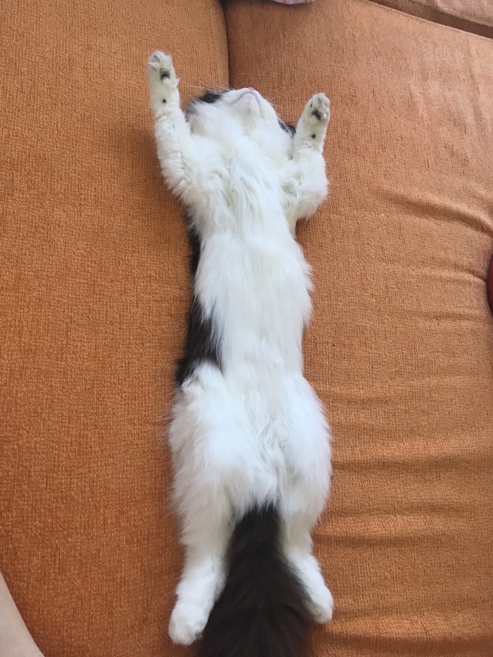    ,  , , 