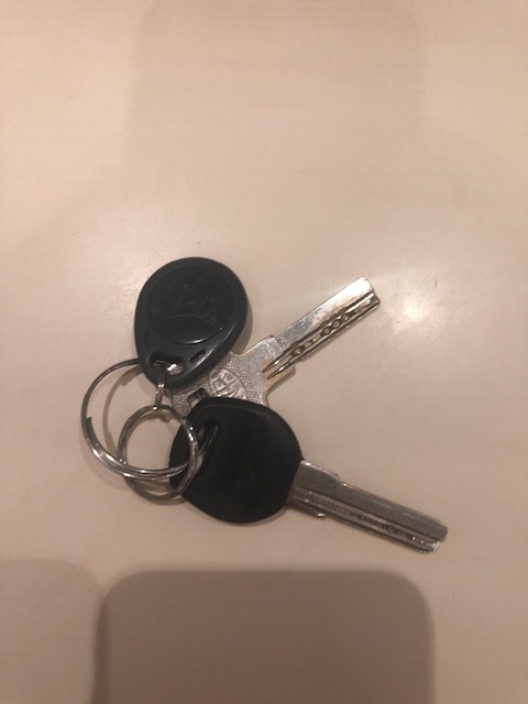 Car keys found. At Sheremetyevo airport - My, Keys, A loss, Found