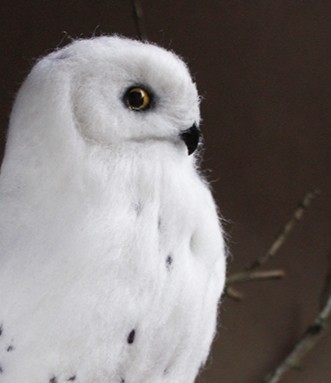 Polar owl. Dry felting from wool. - My, Dry felting, Needlework, Handmade, Harry Potter, Needlework without process, Owl, Wallow, Longpost