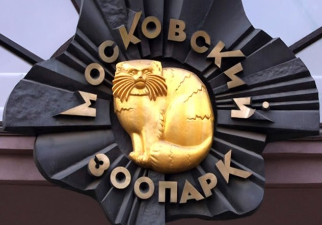 Just look at this beauty. This is the new logo of the Moscow Zoo! Did you recognize everyone's favorite animal? GOAAAAAAAA!!!!11111^^ - Zoo, Moscow Zoo, Pallas' cat, cat, Iron, Pet the cat, Animals, GIF, Longpost