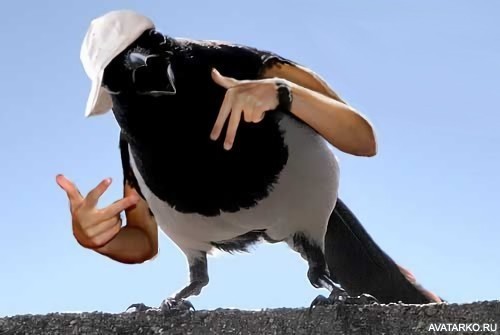   , , , 