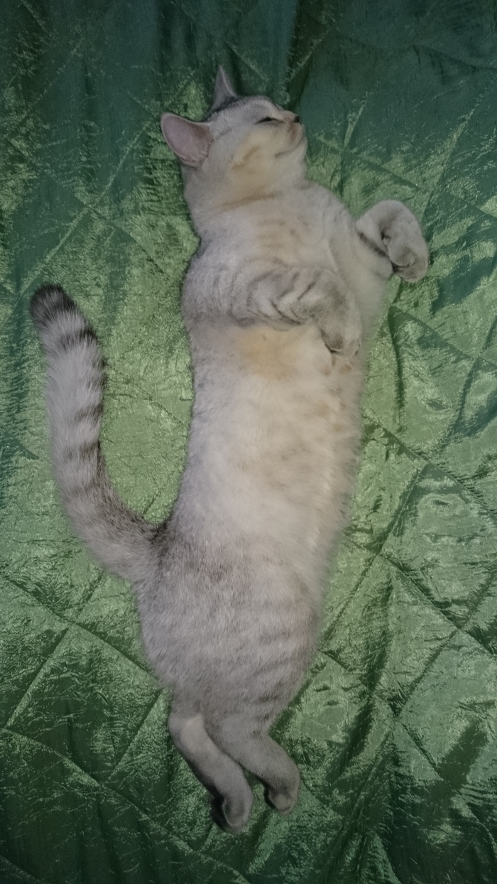   ,      )))))) , , , 