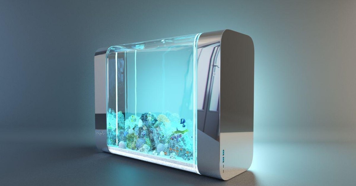 Smart fish tank. Технологичный аквариум. Гаджеты для аквариума. Виджет аквариум. Aquaria умный дом.