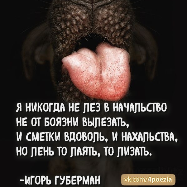 Igor Guberman - Gariki - My, Huberman, Igor Guberman, Poems, Поэт, Poetry, Poems-Patties, Humor, Subtle humor, Longpost