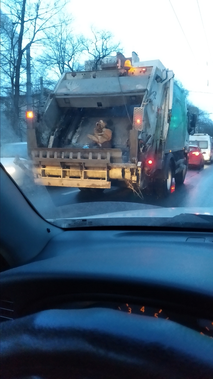 Russia... - Squirrel, Garbage truck