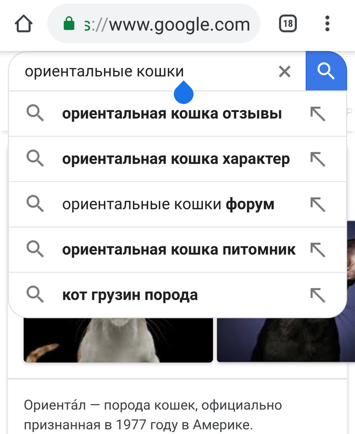   ? ! ,  , , Google