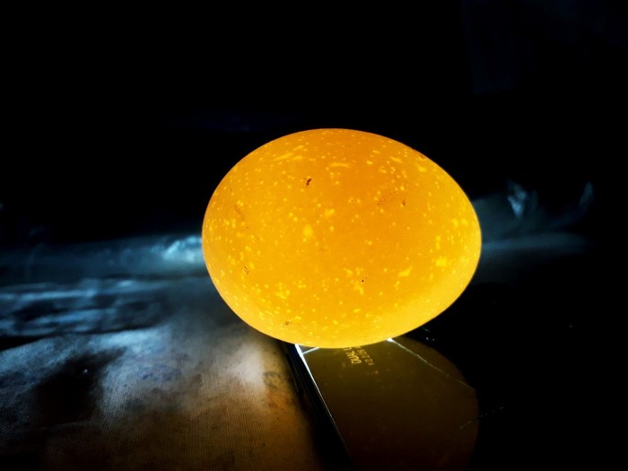 ����������.....