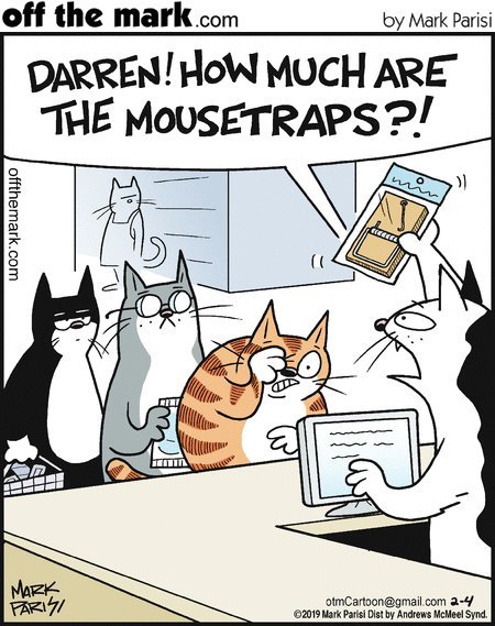 Cats are also ashamed in stores - Comics, cat, Score