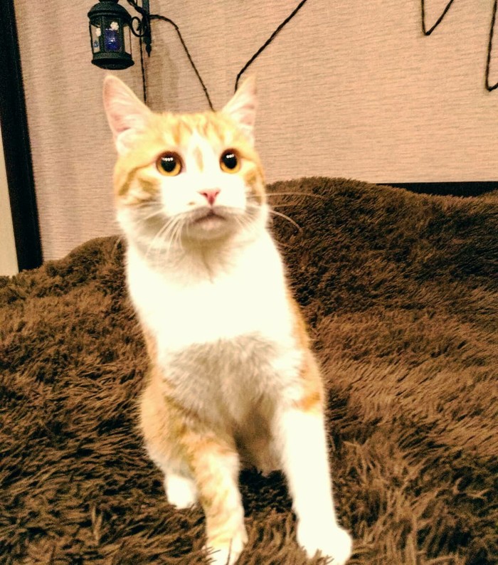    , , , , 