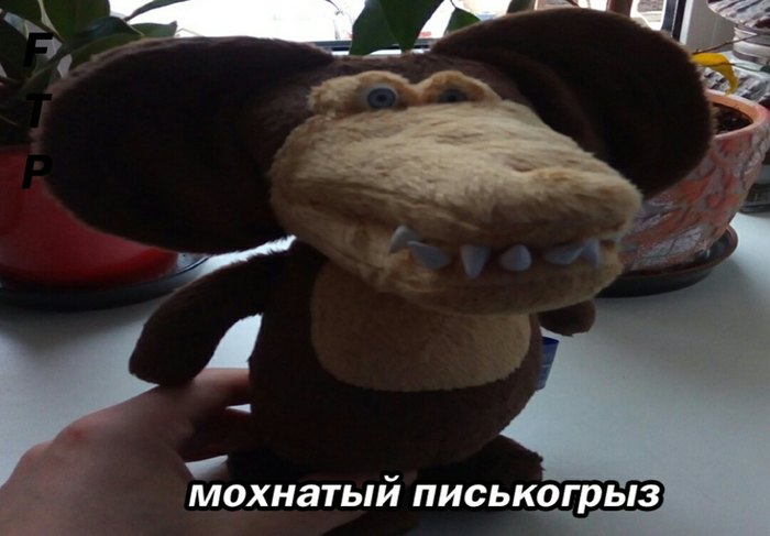 Help me find!)) - Help me find, Soft toy, Cheburashka