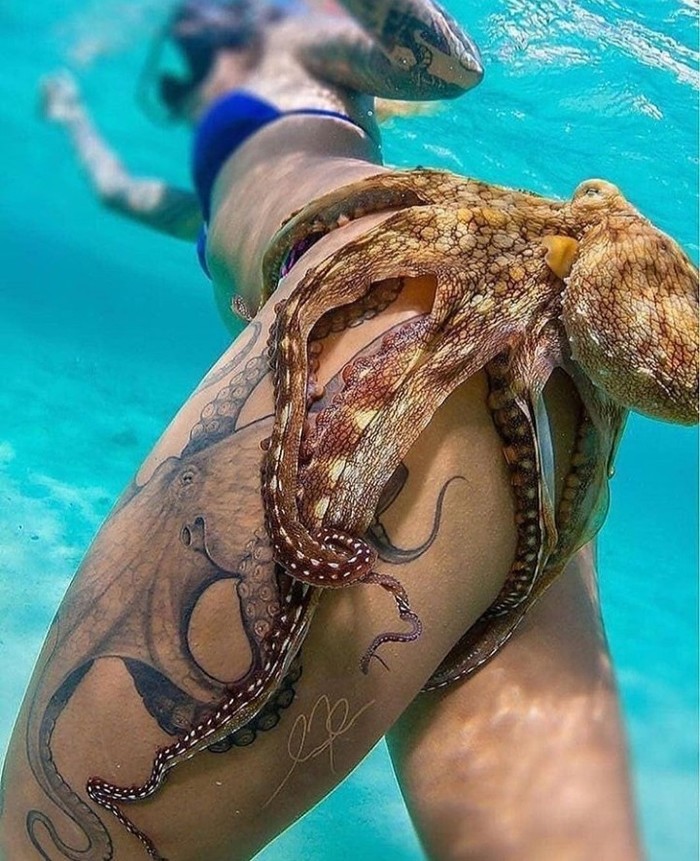 I'm an axis-mi-leg, I'm an octopus - NSFW, Octopus, Girl with tattoo, friendship