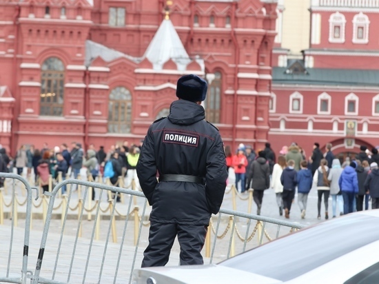 A schoolboy kicked a policeman on Manezhnaya Square on a dare - Society, Russia, Pupils, Onydey, Police, Moscow, Moscow's comsomolets, investigative committee