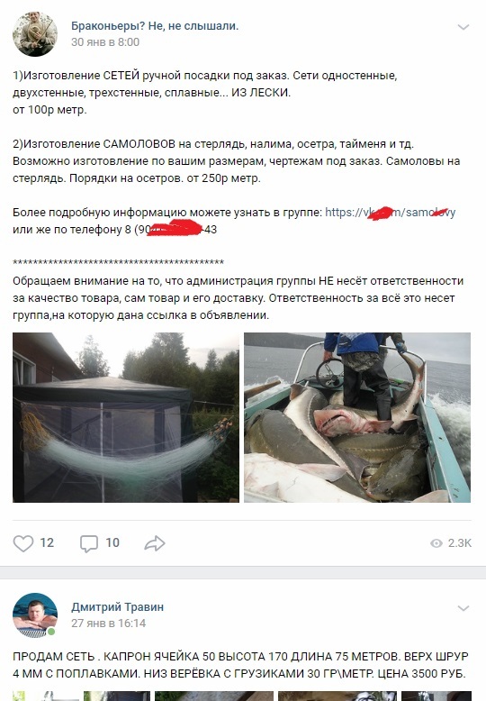 Poachers in VKontakte, what to do with them? - My, Poachers, Law violation, Longpost