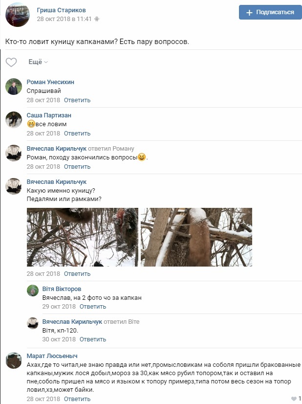 Poachers in VKontakte, what to do with them? - My, Poachers, Law violation, Longpost