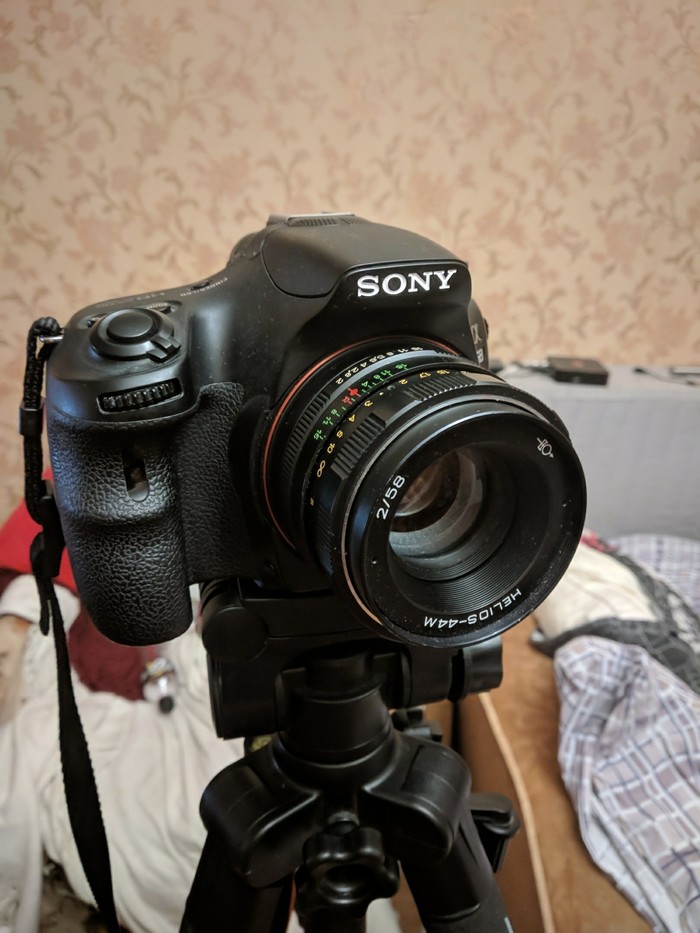 Sony a58 + Гелиос 44м - Моё, Зенит, Гелиос44м, Первый опыт, Sony alpha 58, Длиннопост, Гелиос 44м