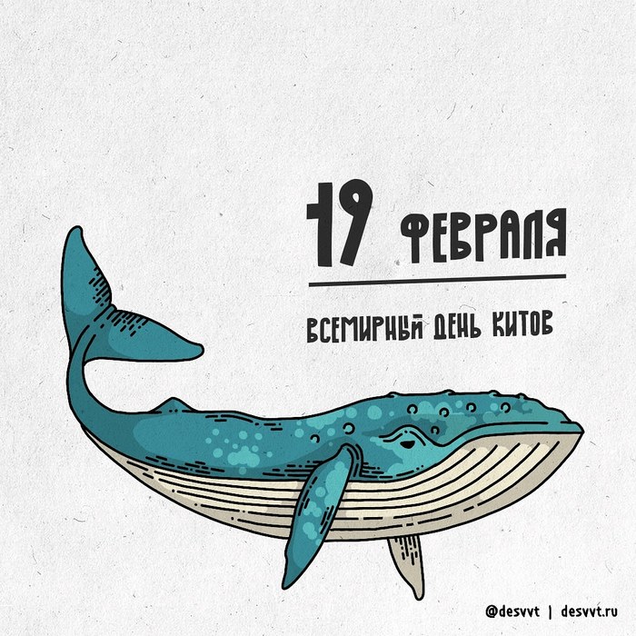 (081/366) February 19 - World Whale Day - My, Drawing, Illustrations, Whale, Fishing, Ban, Project calendar2