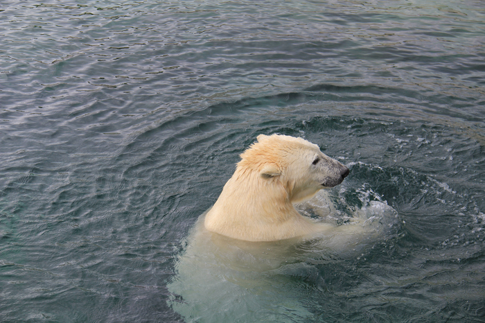 По-моему, вам пора освежиться!