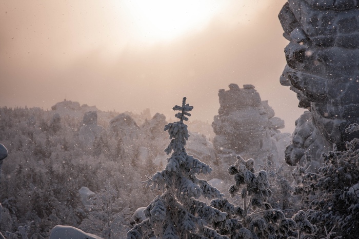 Evening light and snowfall on Mount Kachnakar - Ural, Middle Ural, Sverdlovsk region, The mountains, Kachkanar, Tourism, The photo, Nature