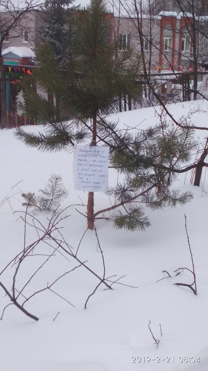 Here is a message to Herods on a coniferous tree. - , Notes