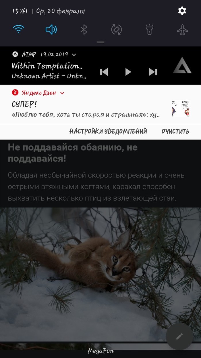 Yandex.zen loves you for who you are - My, Screenshot, Yandex Zen