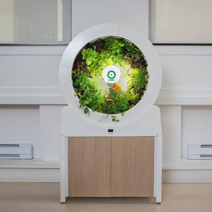 OGarden Smart: home mini-farm - Kickstarter, Indiegogo, Mini-farm, Video, GIF, Longpost