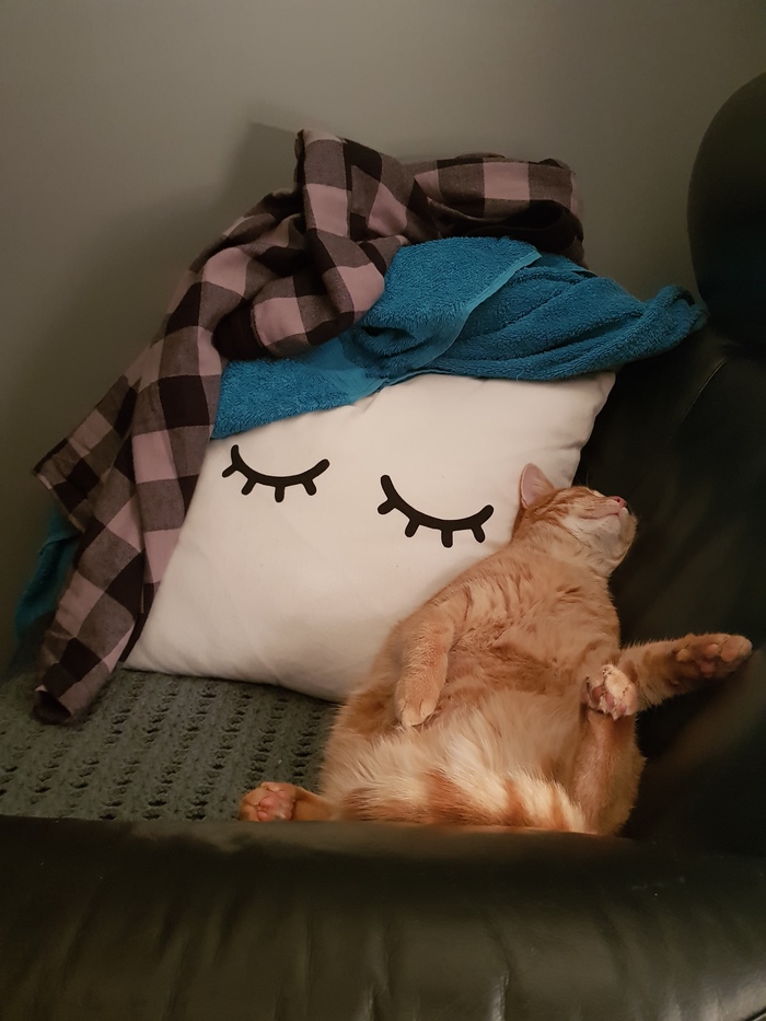 Начитавшись ламповых историй...