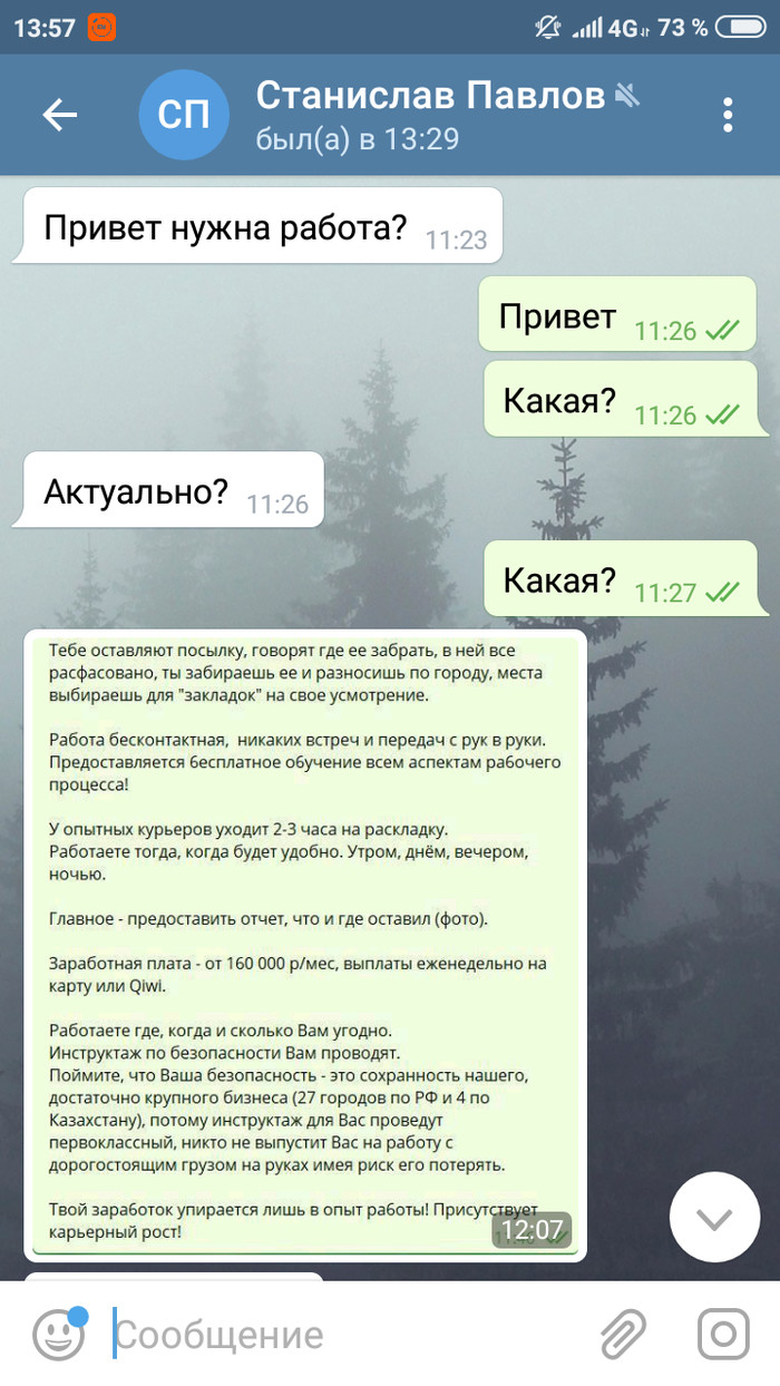 Предложение о работе в Телеграмм - Моё, Работа, Телега, Предложение, Распространители, Закладки, Длиннопост