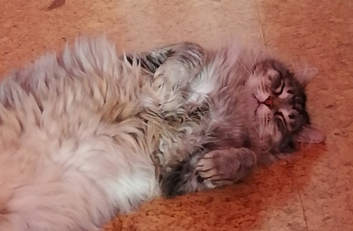 ������ ���������� �� ��� ��������!