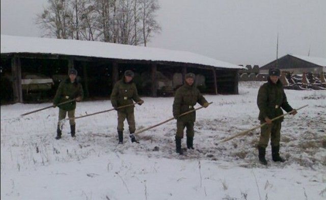 С Днем защитника Отечества - Поздравление, Праздники, Длиннопост, 23 февраля