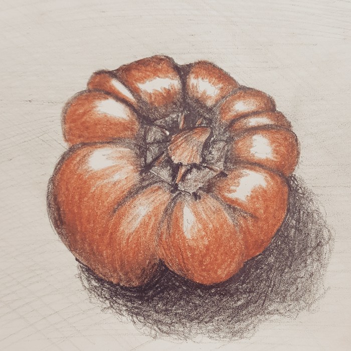 How do I learn to draw. - My, Bell pepper, Pencil drawing, Sanguina