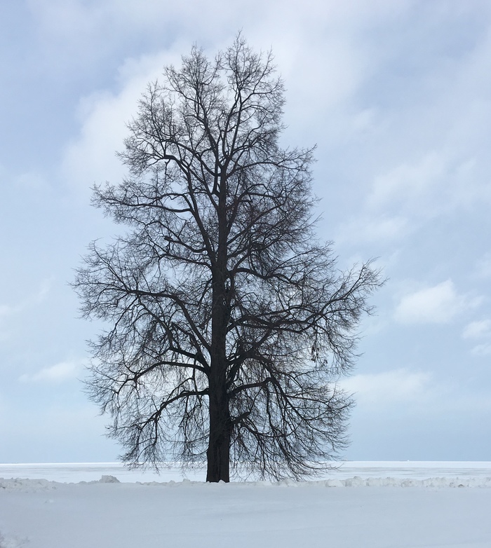 Winter Peterhof - Saint Petersburg, Peterhof, Longpost