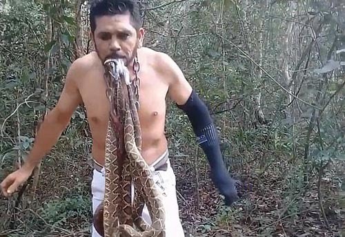 The activist put the tails of live snakes in his mouth and stood on metal spikes - news, Activists, Brazil, Longpost