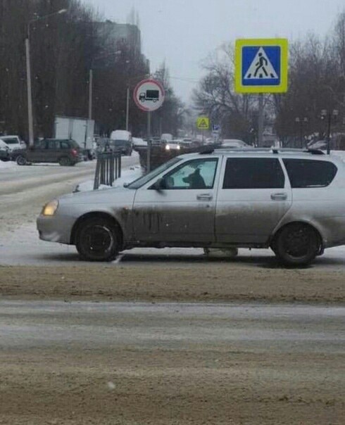 The ball rushes to Prostokvashino - Humor, Dog, Auto, Behind the wheel