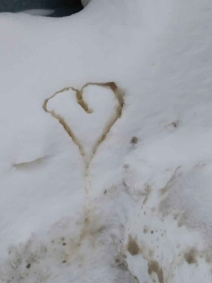 Romance hasn't run out yet - Marginals, Snow