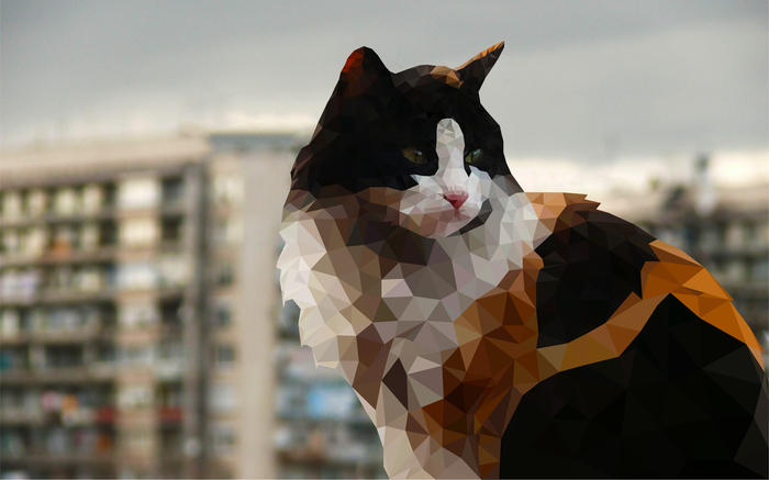 How are you? ))) - My, Sas, Art, Polygon, cat, Animals