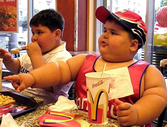 Fat, fat, train passenger - Fat, Fast food, Longpost