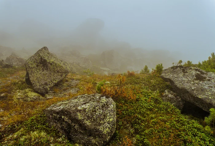 Mysterious phenomenon on Martin lake - My, Ergaki, Travels, , Fog, Nature, Siberia, Longpost