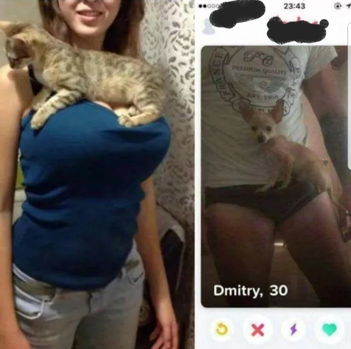 Tinder - NSFW, 9GAG, Tinder, Breast, cat, Dog